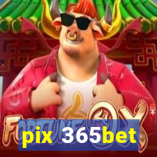 pix 365bet